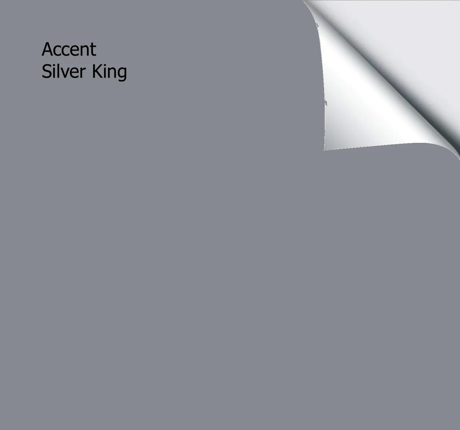 Accent Silver King
