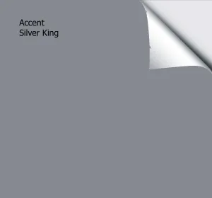 Accent Silver King