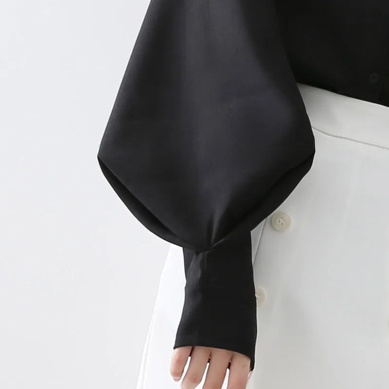 Autumn Winter Lantern Sleeve Blouse with Stand Collar
