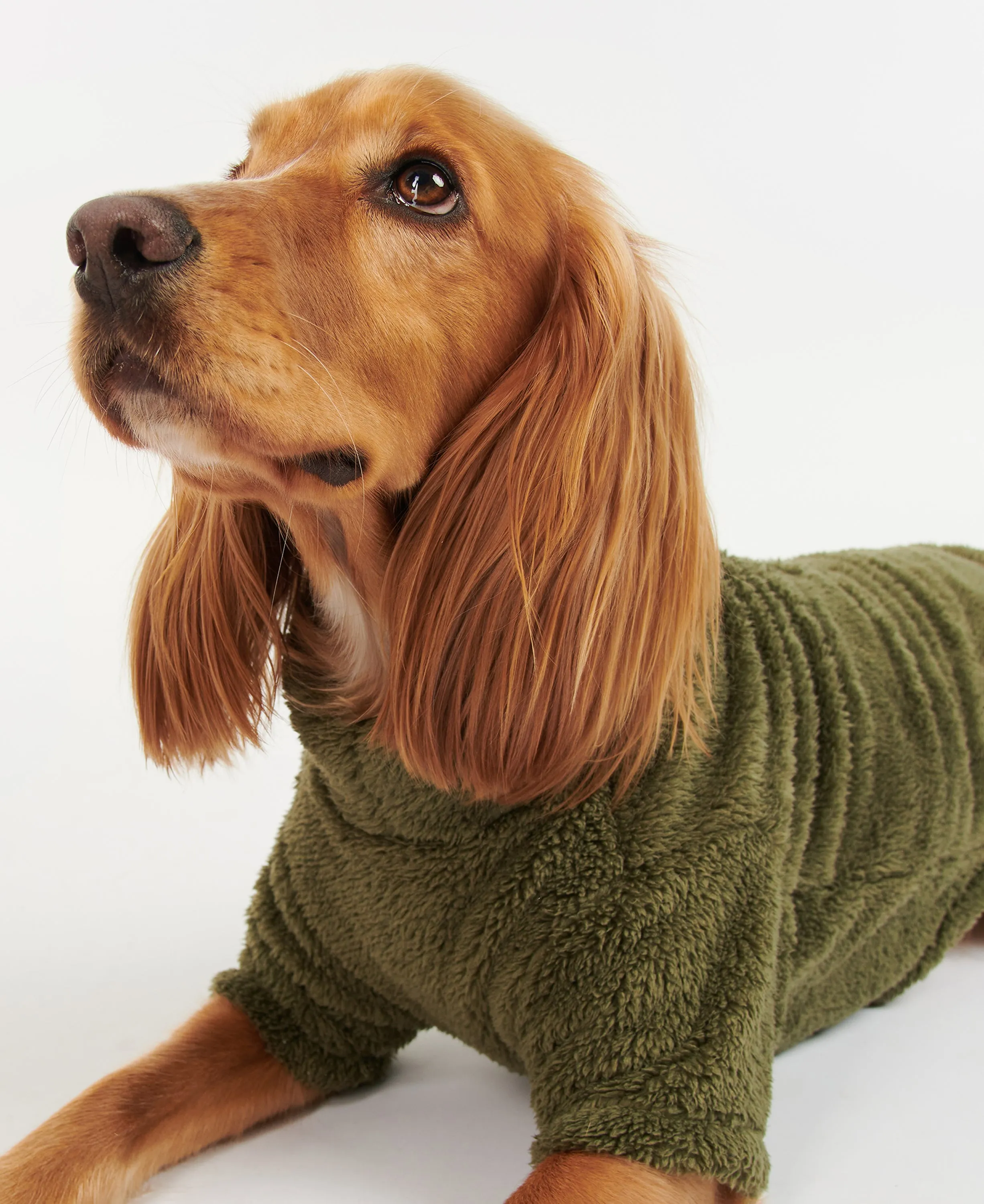 Barbour Teddy Fleece Dog Sweater