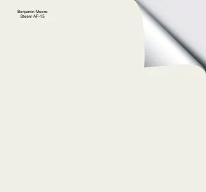 Benjamin Moore Steam