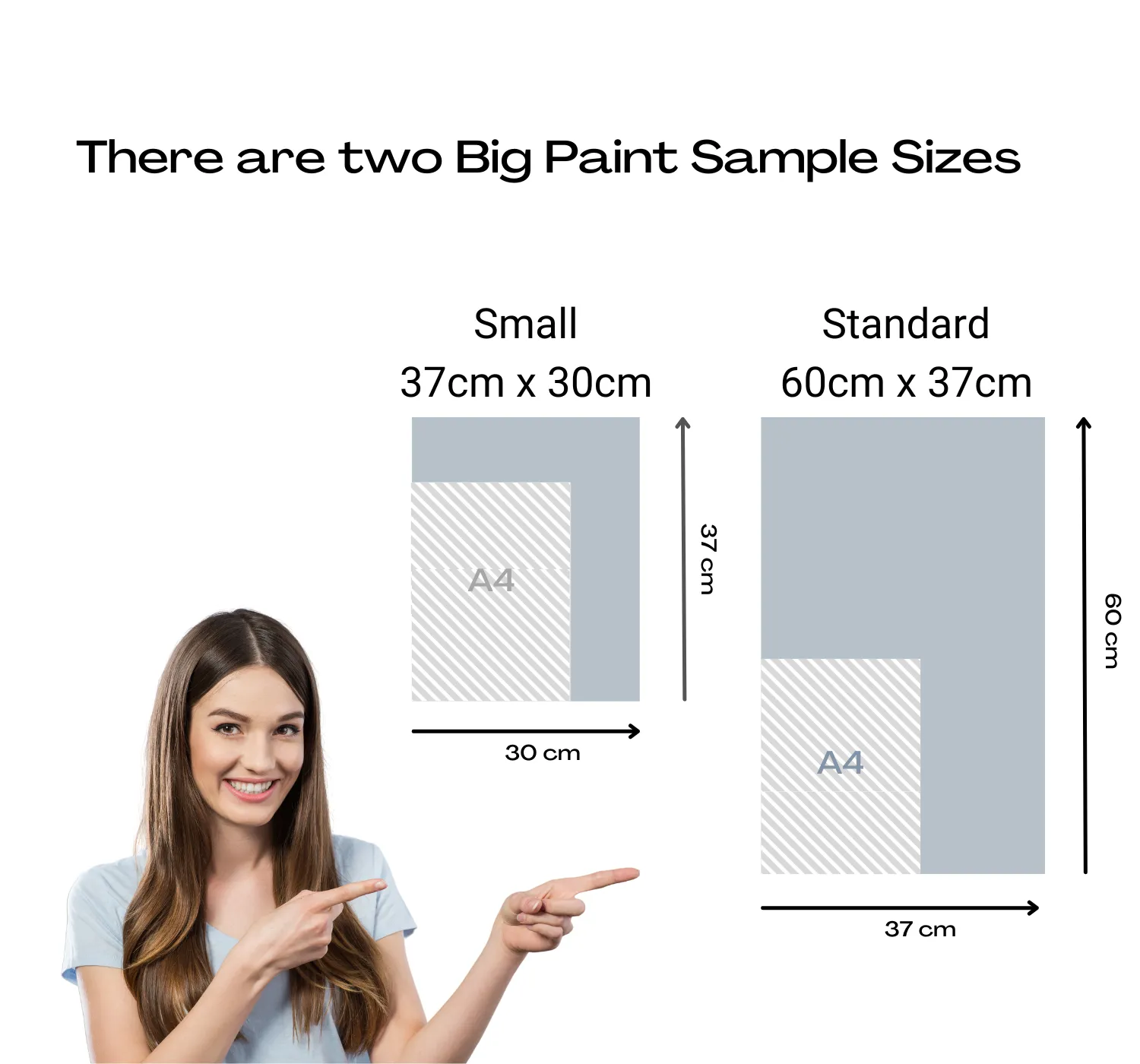 Benjamin Moore Steam