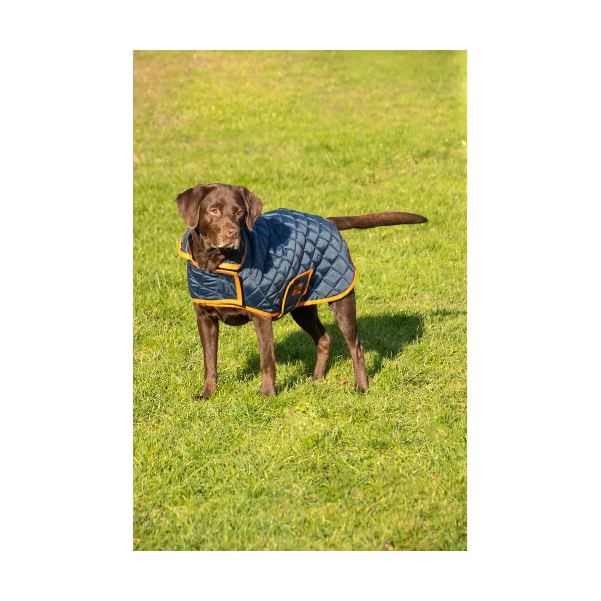 Benji & Flo Quilted Dog Coat