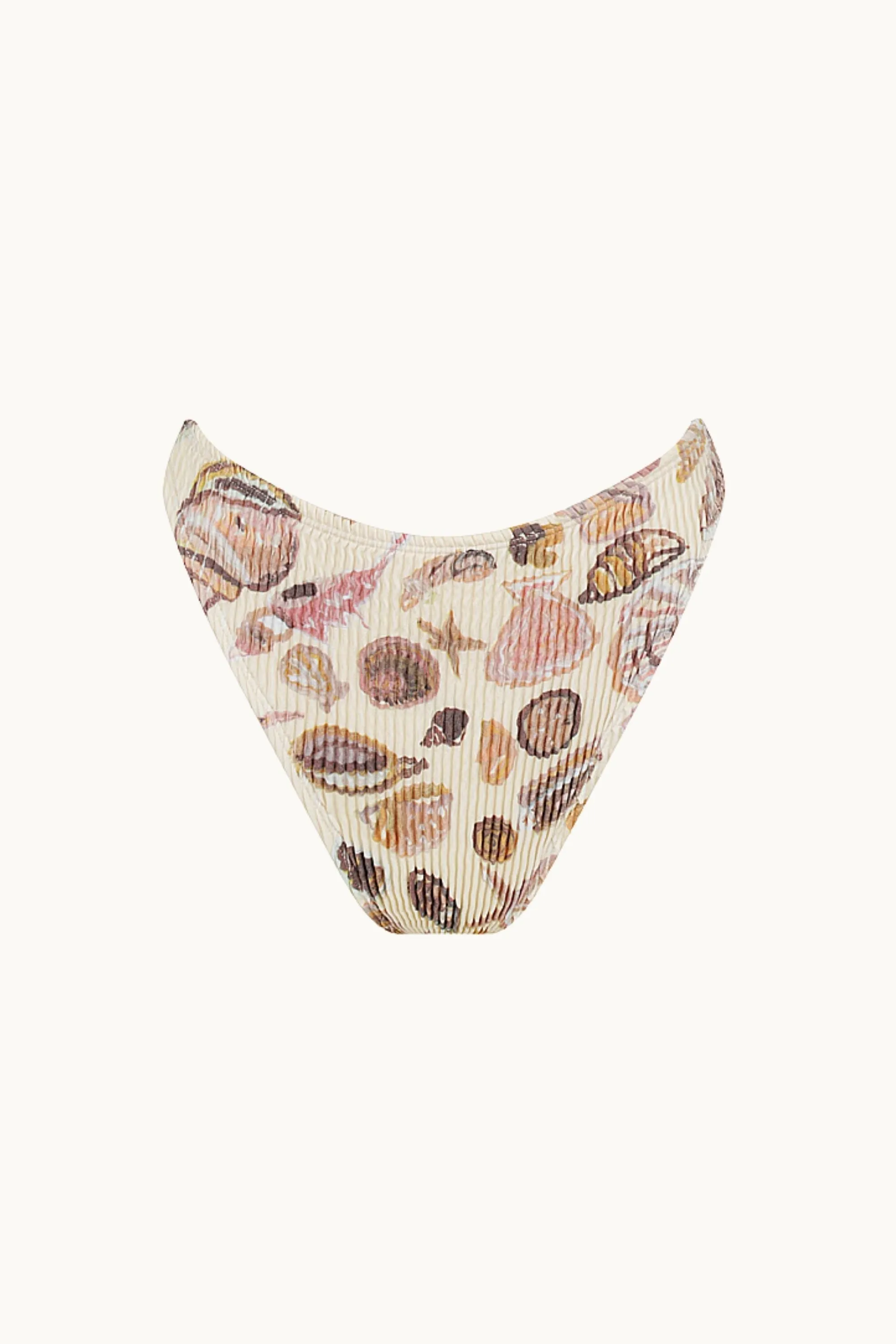 CHANNEL BRIEF SEASHELL