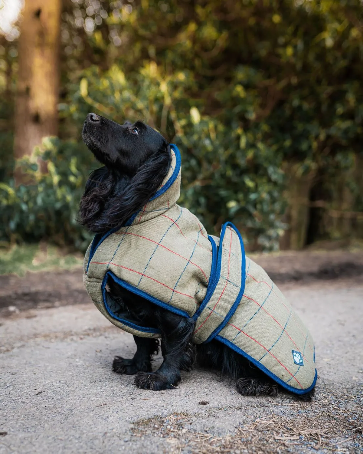Danish Design Tweed Dog Coat
