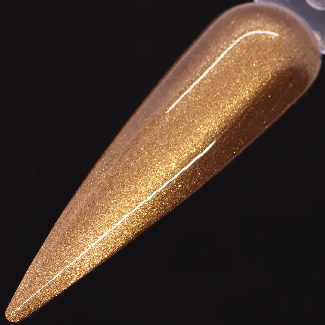 Dimension Nails - Terai-Duar Savanna - Indian Rhino