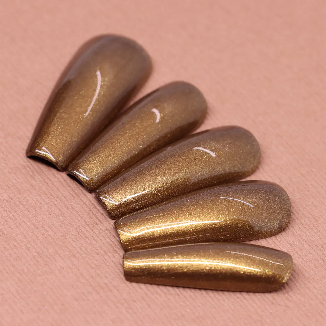 Dimension Nails - Terai-Duar Savanna - Indian Rhino