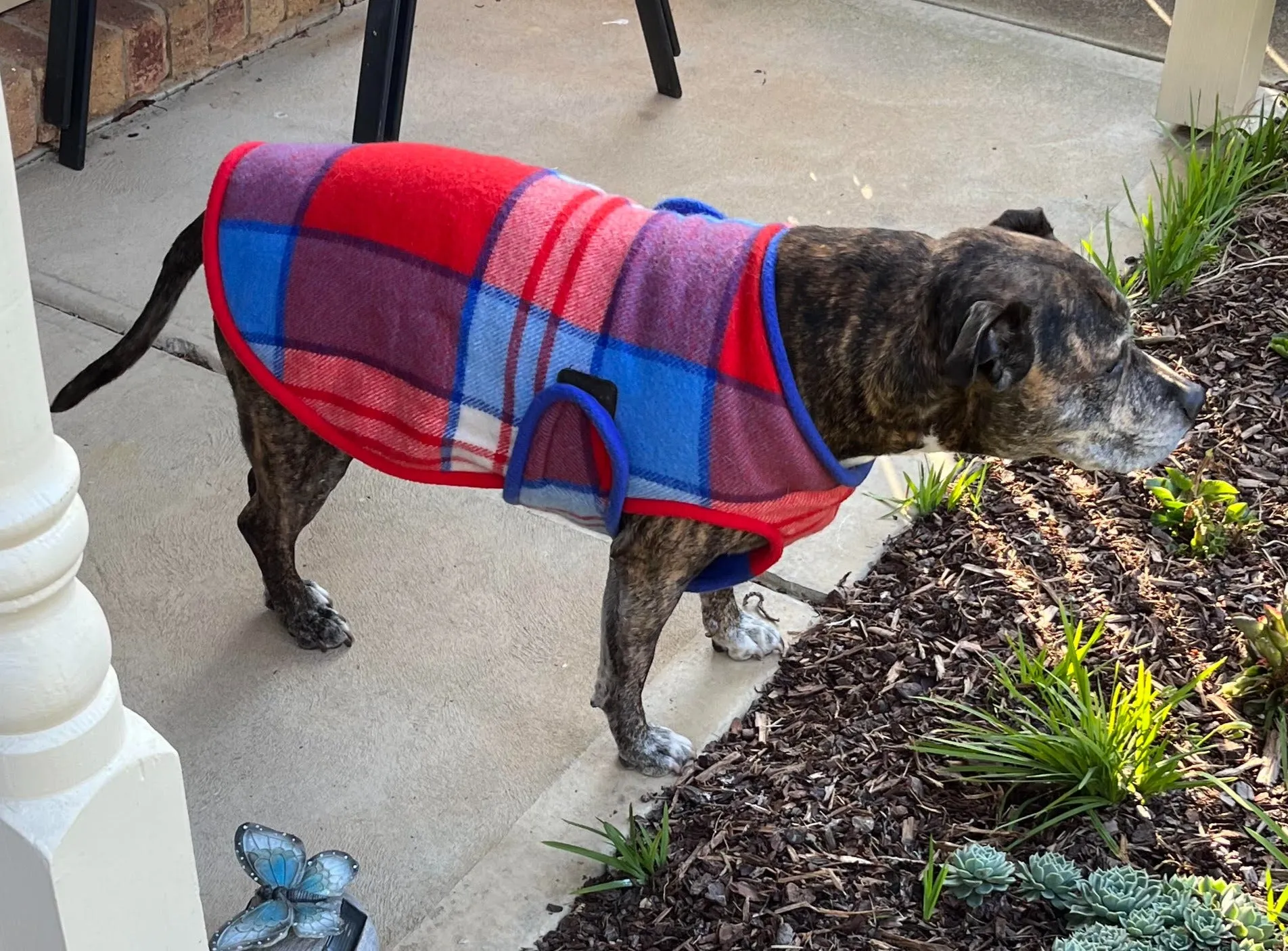 Dog Coats