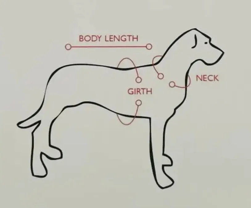 Dog Coats
