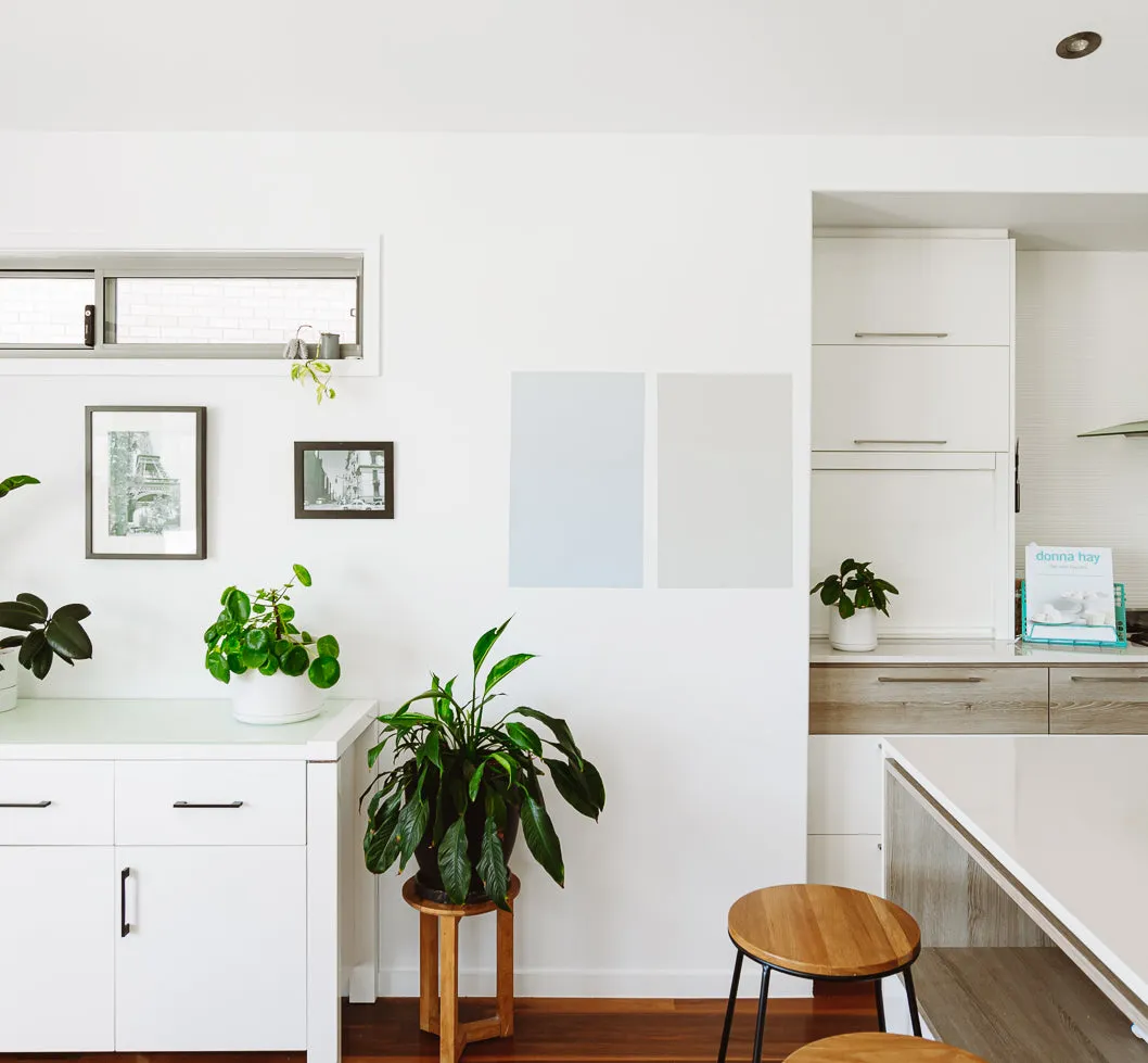 Dulux Snowy Mountains Half