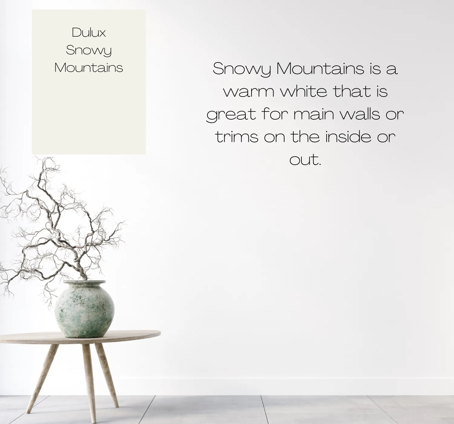Dulux Snowy Mountains