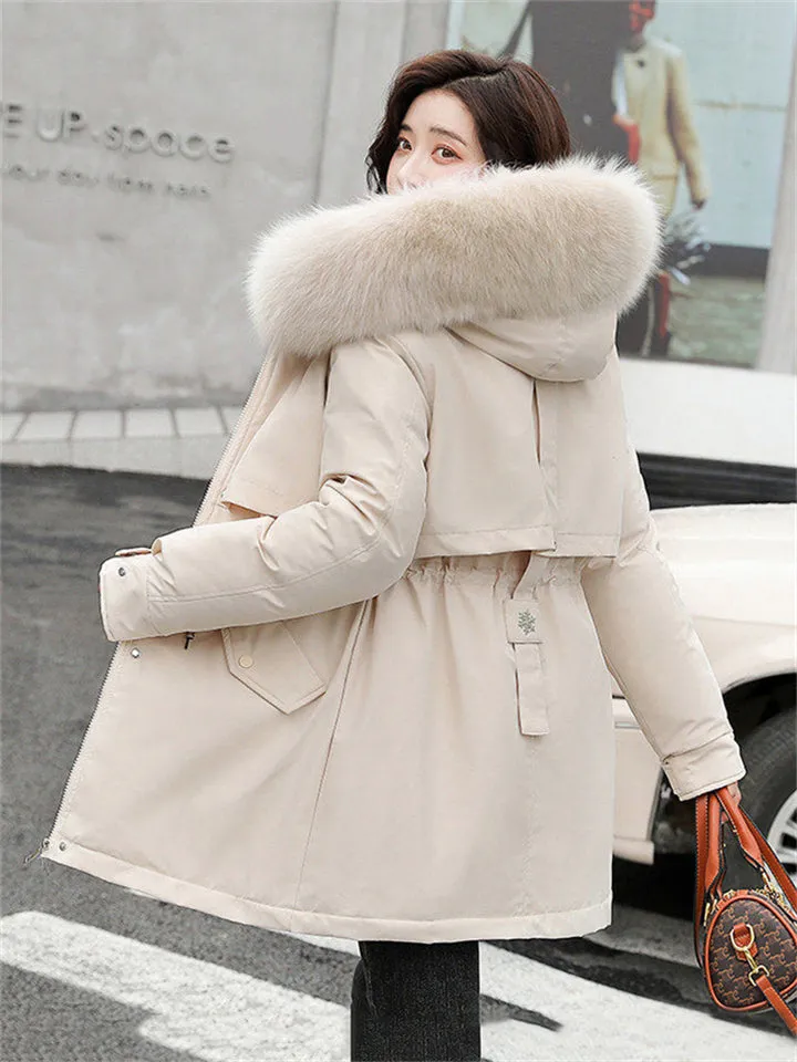 Fashionable Faux Fur Collar Super Warm Padded Coats for Women