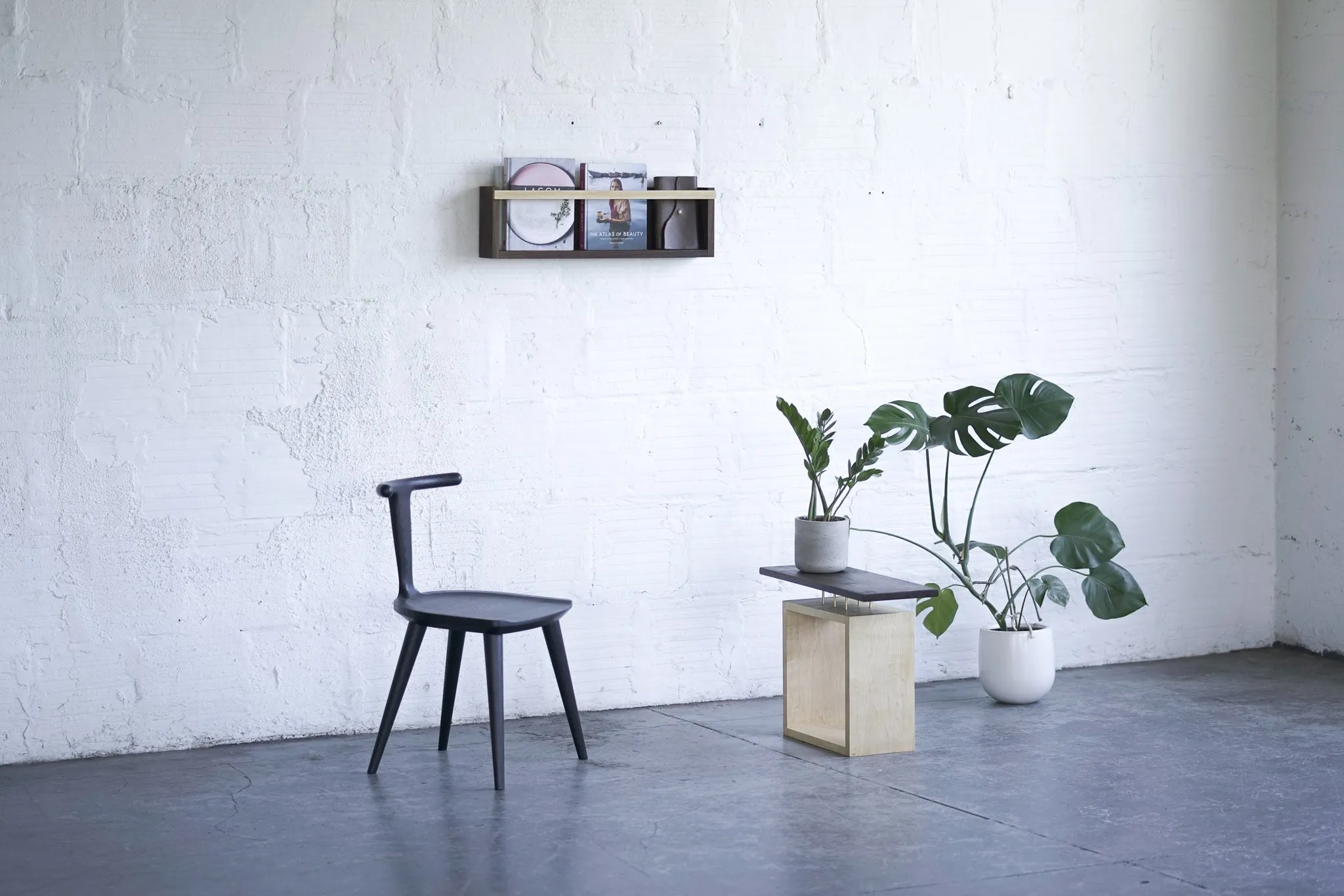 Modern Magazine & Vinyl Wall Rack