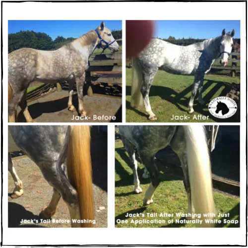 NATURALLY WHITE- Whitening Shampoo Bar for Horses and Dogs