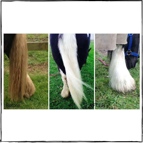 NATURALLY WHITE- Whitening Shampoo Bar for Horses and Dogs