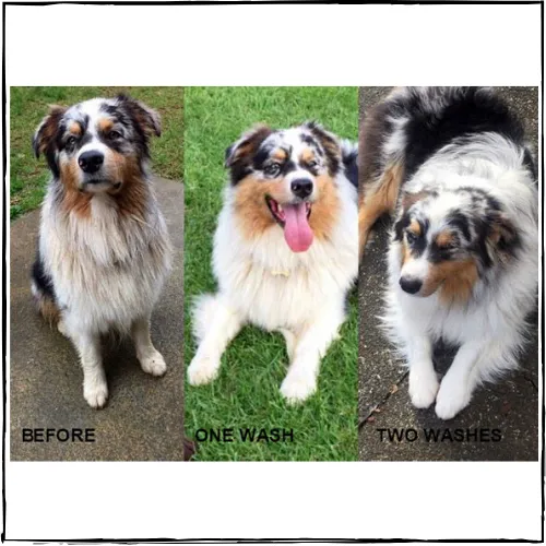 NATURALLY WHITE- Whitening Shampoo Bar for Horses and Dogs