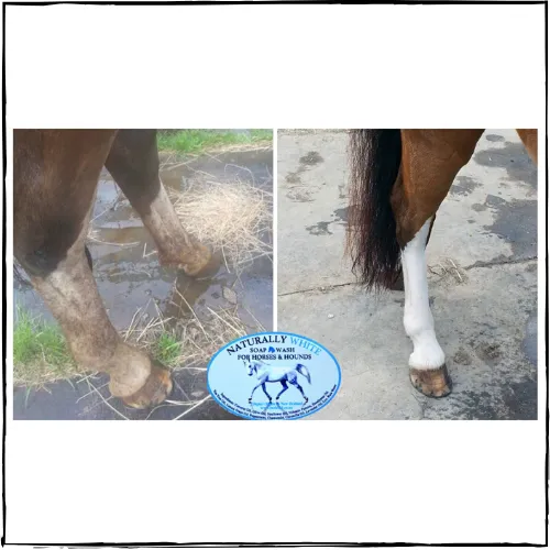 NATURALLY WHITE- Whitening Shampoo Bar for Horses and Dogs