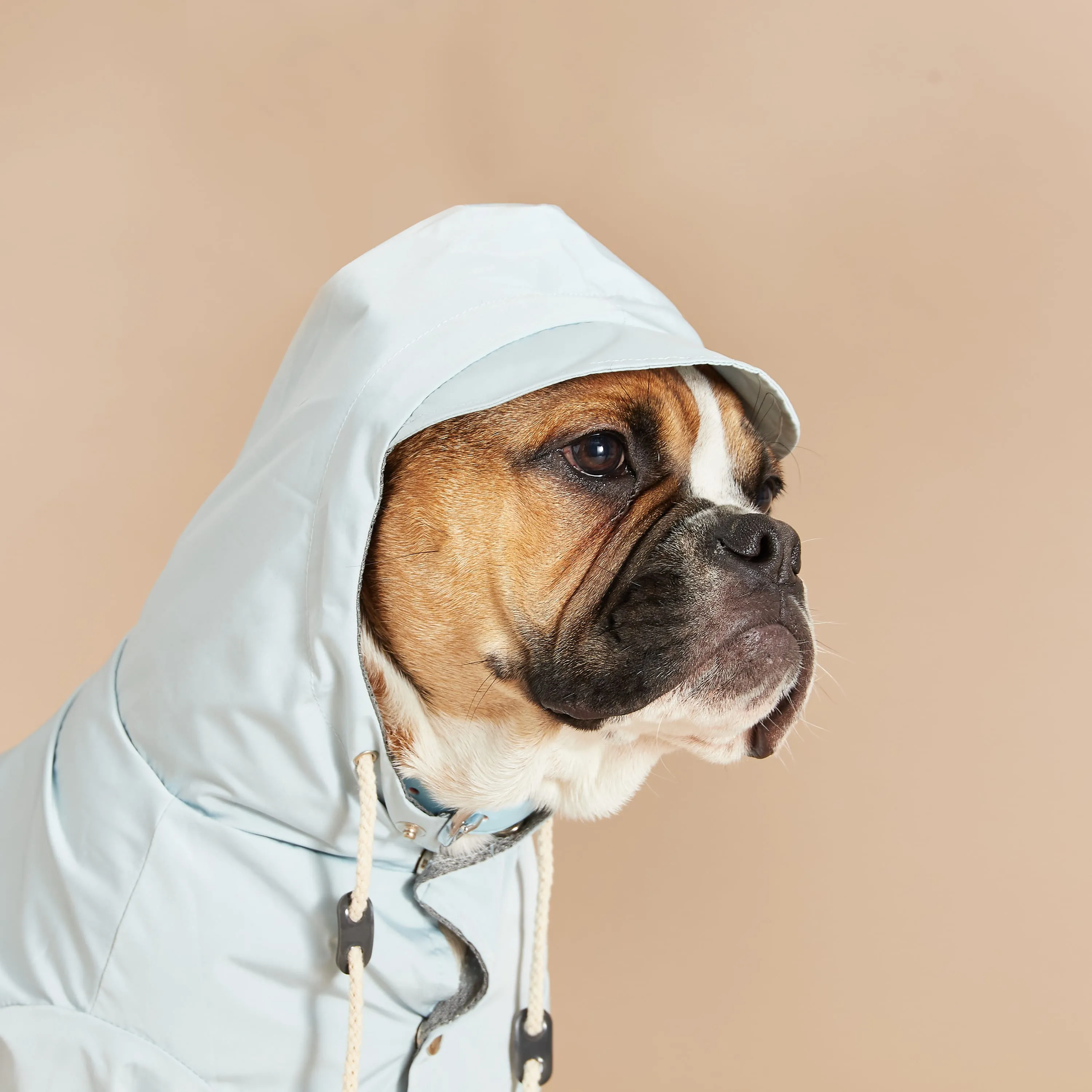 Original Blue Dog Raincoat