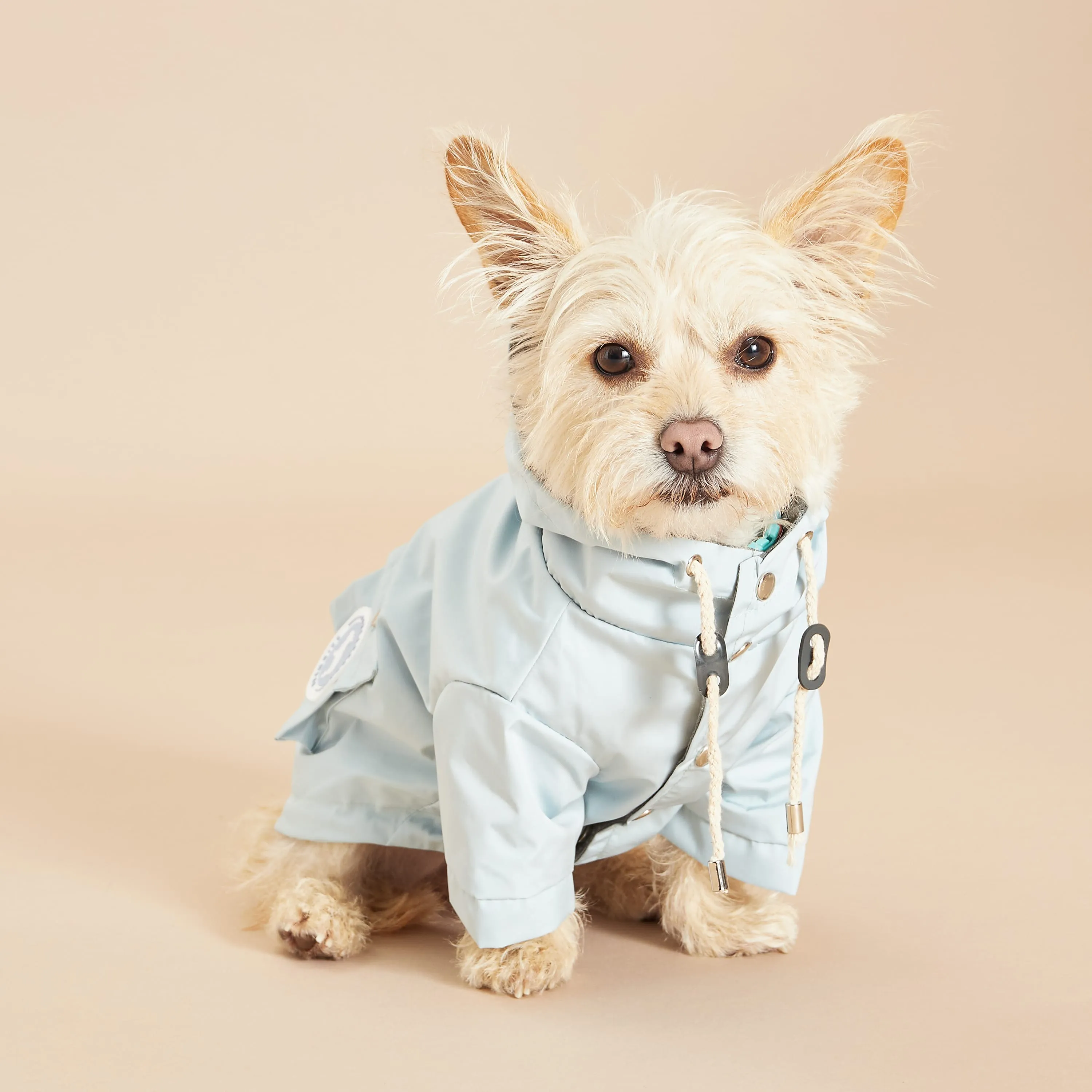 Original Blue Dog Raincoat