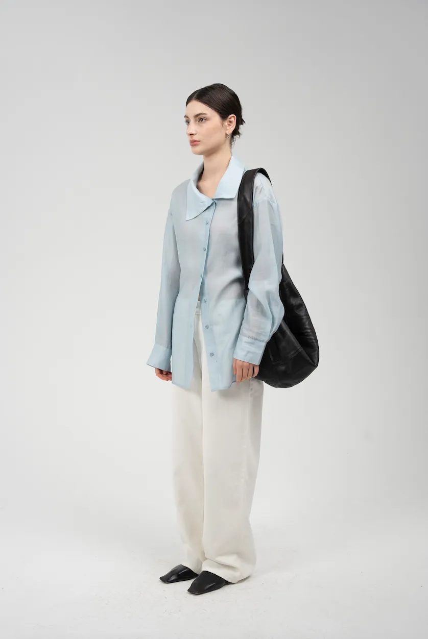 Sheer Blouse