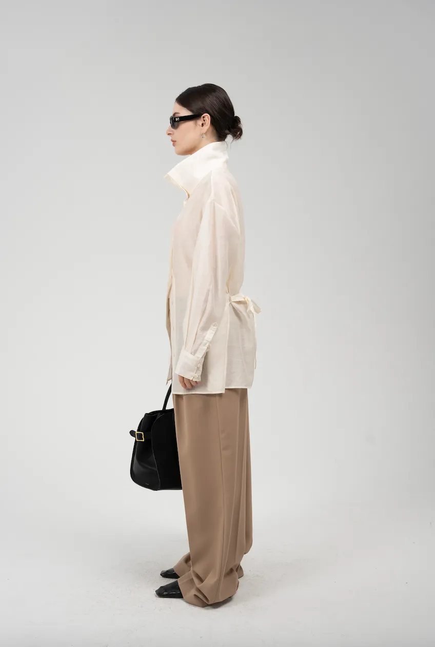 Sheer Blouse