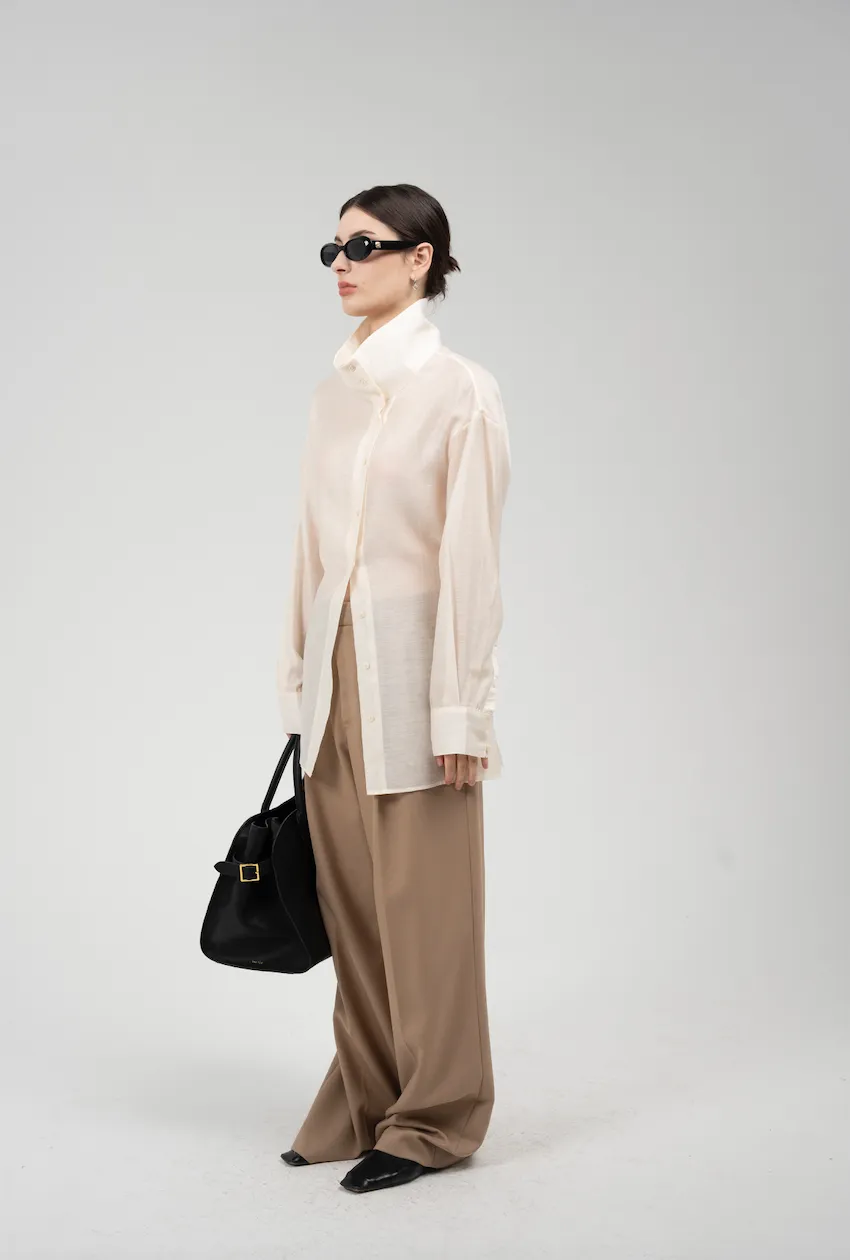 Sheer Blouse