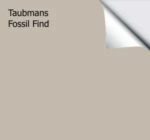 Taubmans Fossil Find