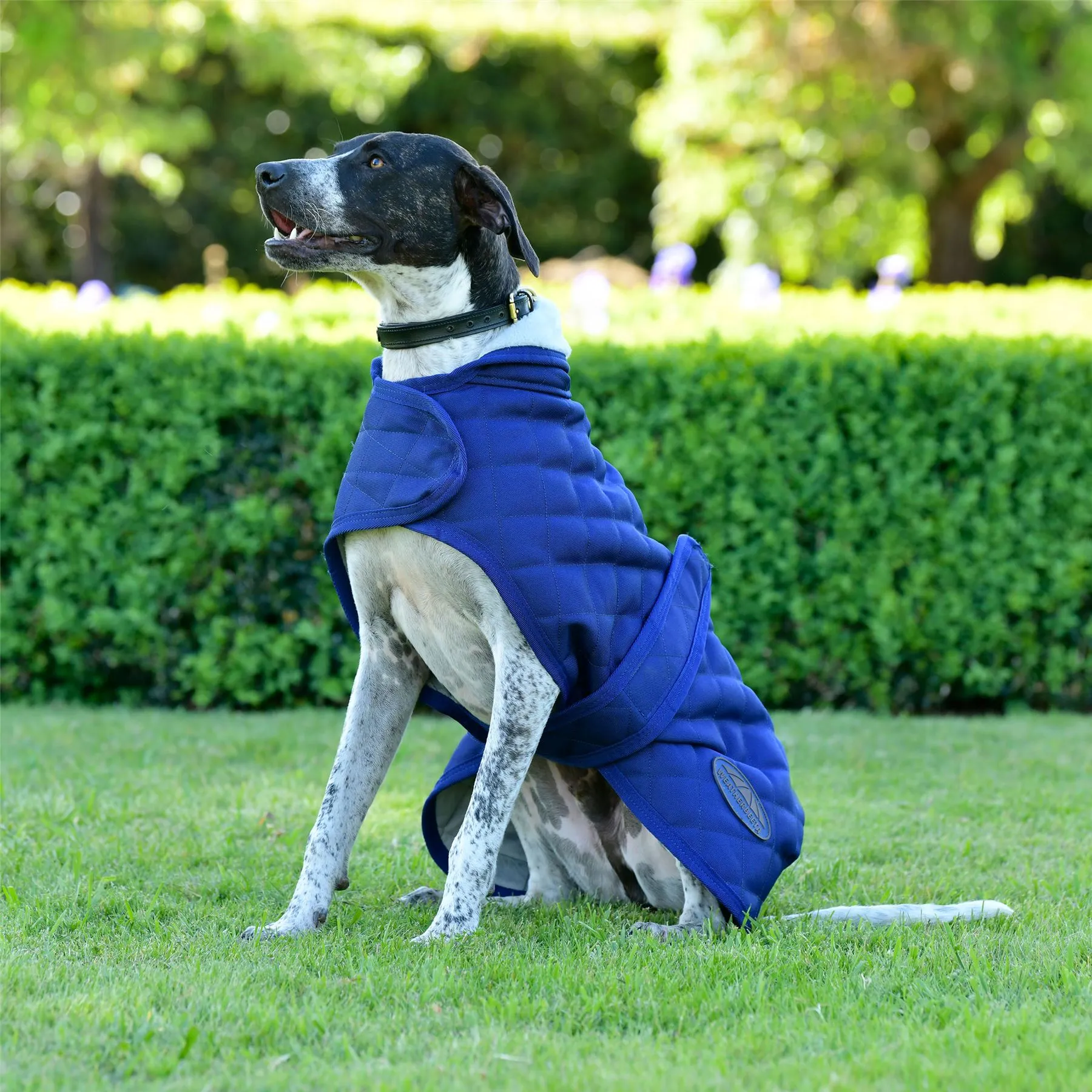 Weatherbeeta Comfitec Deluxe Diamond Quilt Dog Coat