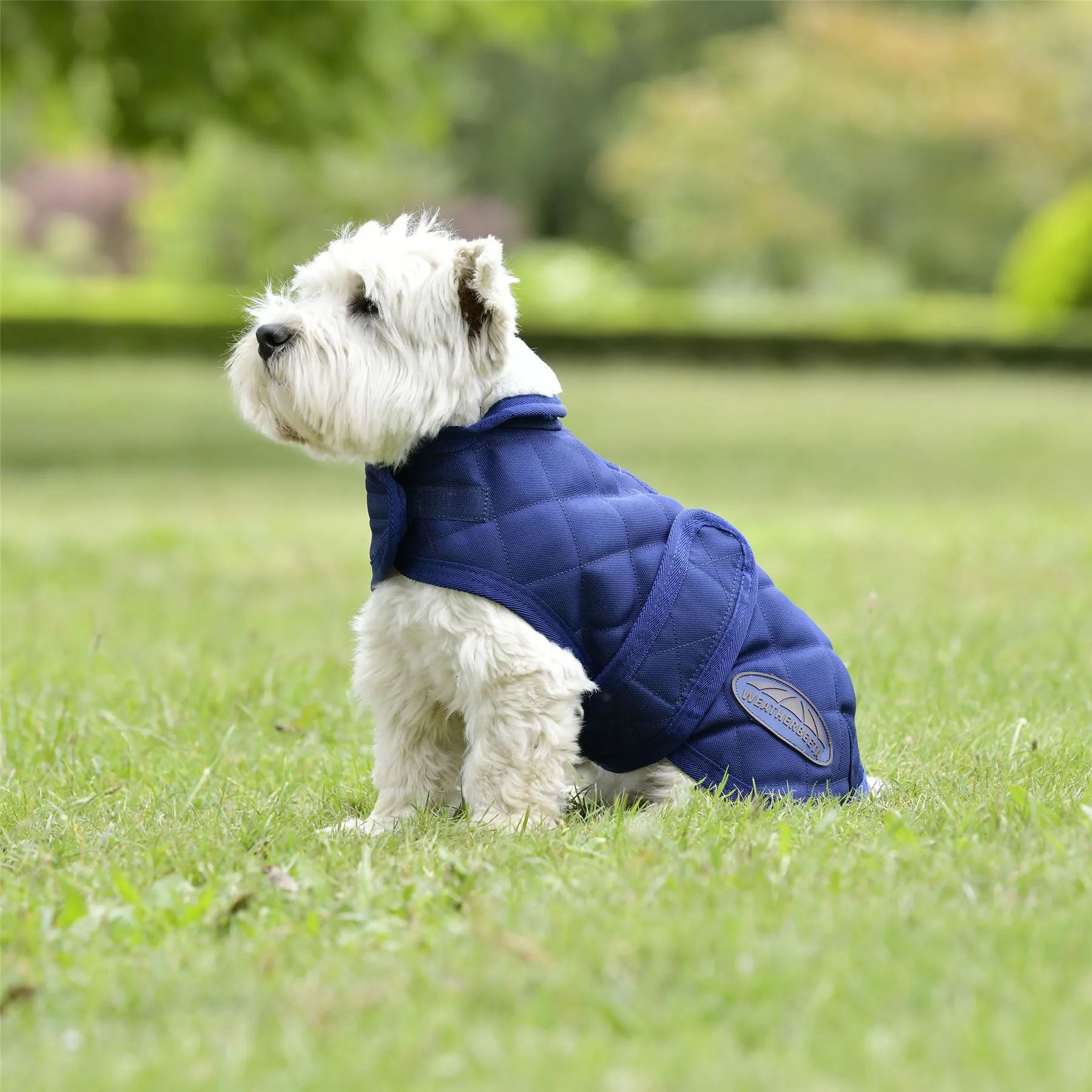 Weatherbeeta Comfitec Deluxe Diamond Quilt Dog Coat
