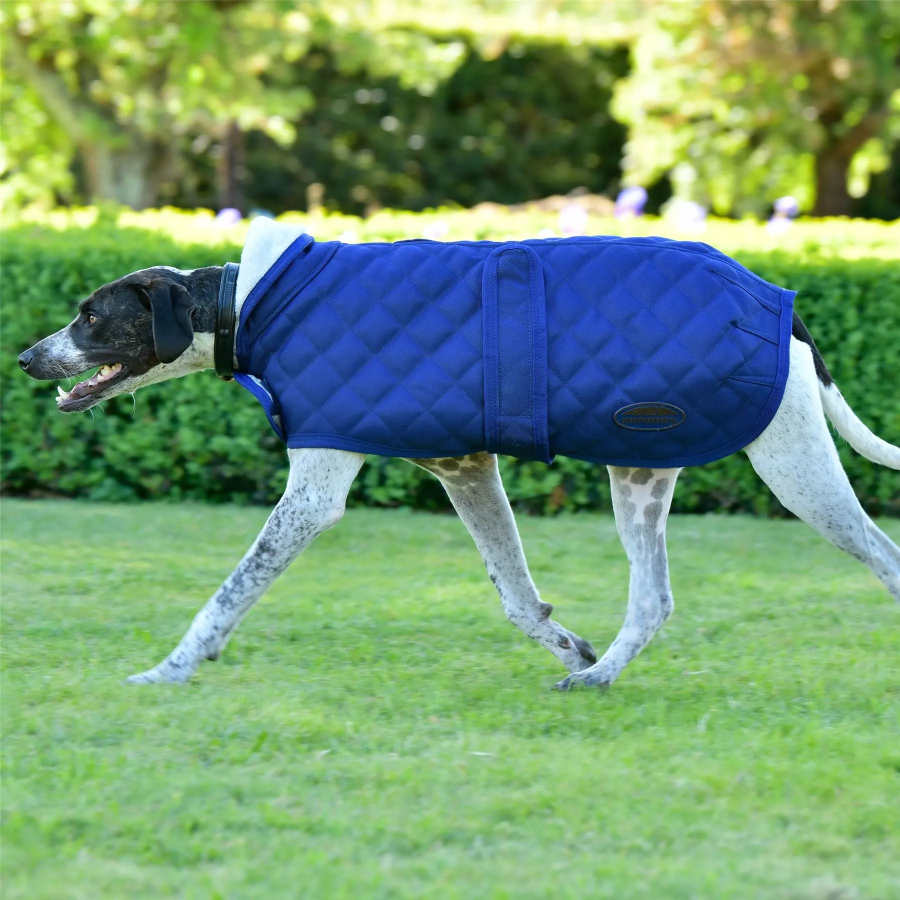 Weatherbeeta Comfitec Deluxe Diamond Quilt Dog Coat