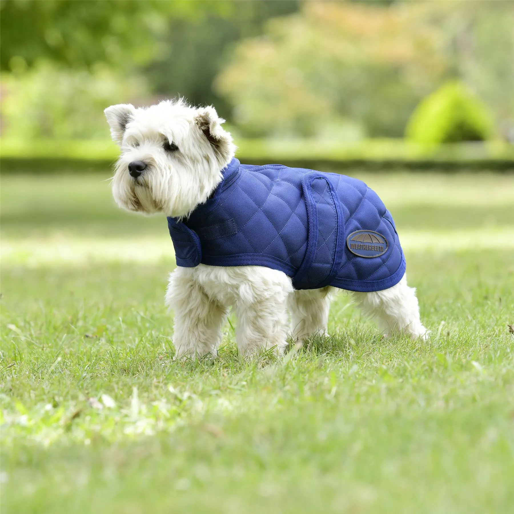 Weatherbeeta Comfitec Deluxe Diamond Quilt Dog Coat