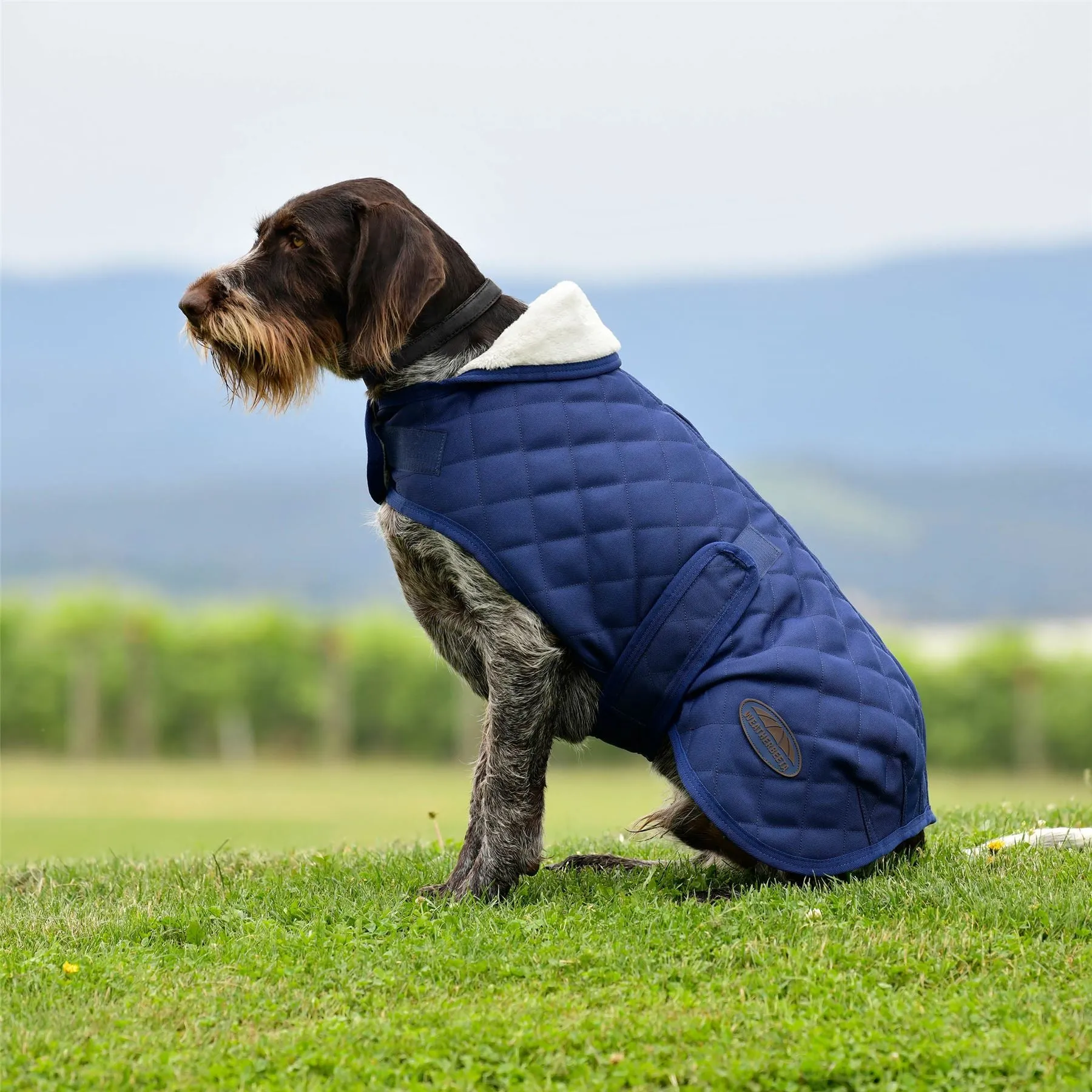 Weatherbeeta Comfitec Deluxe Diamond Quilt Dog Coat