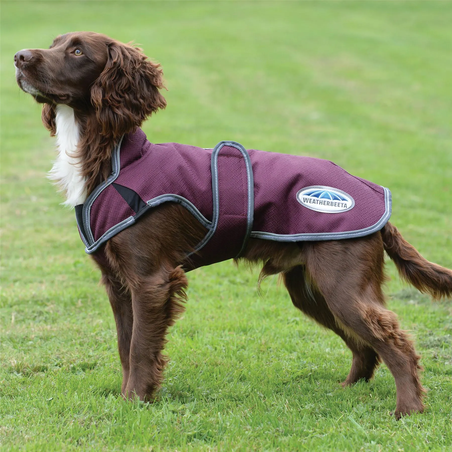Weatherbeeta Comfitec Premier Free Parka Deluxe Dog Coat Medium